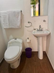 La salle de bains est pourvue de toilettes et d'un lavabo. dans l'établissement Patio Hangar Toluca Aeropuerto (antes BoxPark), à Toluca