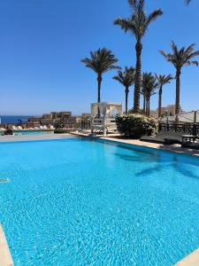 a large swimming pool with palm trees in the background at Roof top apartment with panorama view in Hurghada