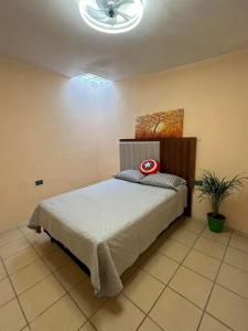 ein Schlafzimmer mit einem Bett und einer Decke in der Unterkunft Habitación privada en casa compartida. in Tepic