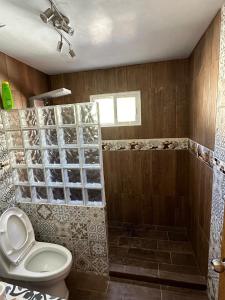 ein Bad mit einem WC und einer Dusche in der Unterkunft Habitación privada en casa compartida. in Tepic