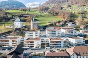 uma vista aérea de uma cidade com edifícios e montanhas em Le Doran Familial Parking WIFI em Sallanches