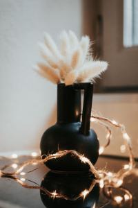un vase noir avec des plumes sur une table dans l'établissement Nid douillet - Elégant studio en plein centre de Riom, à Riom