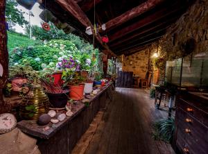 a room with a bunch of potted plants at Apartamento en Plena Naturaleza in La Cavada