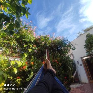 a person holding a hammock in front of some flowers at Casa Paula santa marta in Gaira