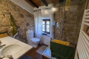 a bathroom with a sink and a toilet and a shower at Il Cantuccio Proprietà in Pescaglia