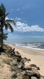 Φυσικό τοπίο κοντά σε αυτό το hostel