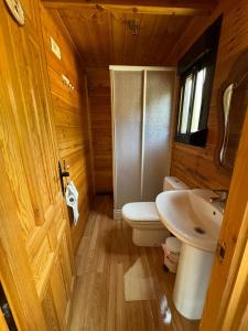 a wooden bathroom with a toilet and a sink at Hostal de Montaña Pous de la neu in Alfara de Carles