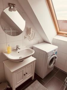 een badkamer met een wastafel en een spiegel bij Enns Sleep in Enns