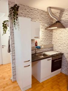 Kuchyň nebo kuchyňský kout v ubytování Enns Sleep Apartment