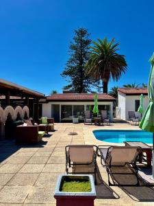 a resort with a pool and chairs and a palm tree at Hotel Concorde in Punta del Este