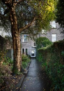 a walkway in front of a building with a tree at Shelbourne Georgian Townhouse in Kenmare