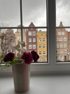 a vase filled with flowers sitting in front of a window at Apartament Piwna52 in Gdańsk