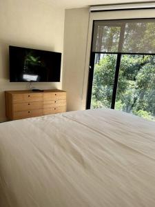 巴耶德布拉沃的住宿－Desnivel, Valle de Bravo，一间卧室设有一张床、一台电视和一个窗口。
