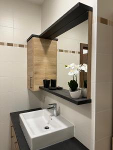La salle de bains est pourvue d'un lavabo et d'un miroir. dans l'établissement Wohlfühlen, à Gänserndorf