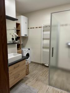 Vonios kambarys apgyvendinimo įstaigoje Wohlfühlen