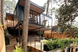 ein Haus mit Glaswänden und einem Baum in der Unterkunft Cabaña Roble Boutique en Avándaro, Valle de Bravo in Valle de Bravo