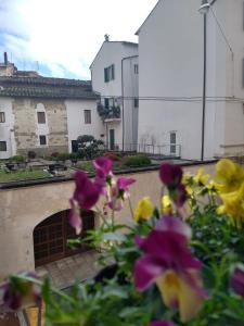 a group of flowers in front of a building at Palazzo Reali Apartment - Camera nella storia di Pistoia in Pistoia