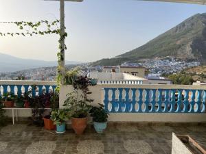 einen blauen Zaun mit Topfpflanzen auf dem Balkon in der Unterkunft apartment with terace in Chefchaouen