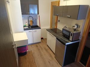 Dapur atau dapur kecil di Lipno Pearl 3