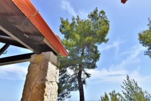 Fotografie z fotogalerie ubytování KALIVA near the beach v destinaci Kriopigi