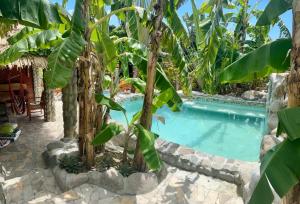 a swimming pool in a garden with a bunch of trees at Mabrika Resort Dominica in Guillet
