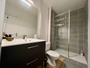 uma casa de banho com um WC, um lavatório e um chuveiro em Appartement 2 prsn / Proche Centre-Ville em Besançon