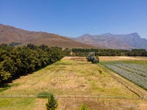 un campo de cultivos con montañas en el fondo en Franschhoek Cottages, en Franschhoek