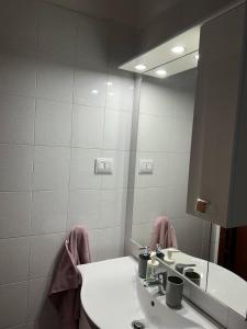 トリノにあるBnB Sakura Via Napioneのバスルーム(洗面台、鏡付)