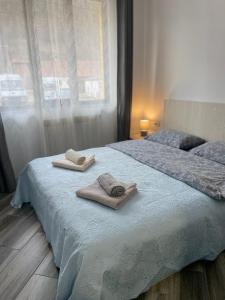1 Schlafzimmer mit 2 Handtüchern auf einem Bett mit Fenster in der Unterkunft La Turcu in Văliug