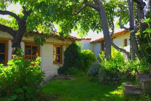 Zahrada ubytování La Selenita