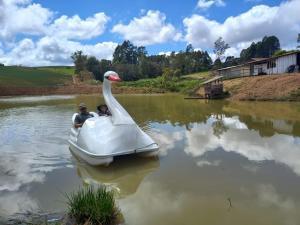 dos personas en un barco cisne en un lago en Cabana Encanto., en Ituporanga