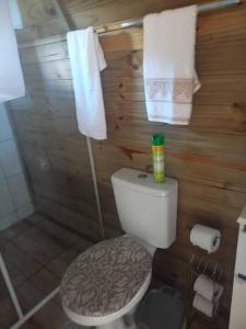 Baño con aseo y toallas en la pared en Cabana Encanto., en Ituporanga