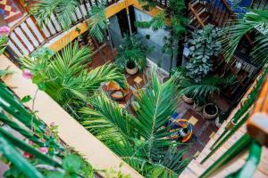 Zahrada ubytování Hotel La Casona de Getsemani