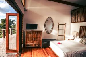 a bedroom with a bed and a mirror at Green Fiji Plantation Villa in Taveuni 
