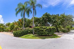 una calle con palmeras y arbustos en un parque en Beautiful Apt in Victoria Park (Las Olas Blvd), en Fort Lauderdale