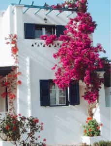 un edificio blanco con flores rosas. en Nereid Skyros House, en Skiros