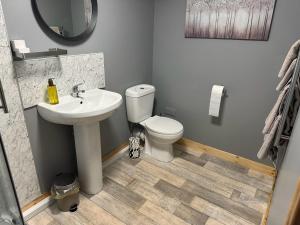 a bathroom with a white toilet and a sink at Duirinish Pods with Private Hot Tubs and Duirinish Bothy with No Hot Tub in Plockton