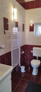 une salle de bain avec toilettes et lavabo dans l'établissement Stadion Apartman, à Eger