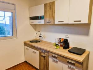 eine kleine Küche mit einer Theke und einem Waschbecken in der Unterkunft Summer house Kruce in Kruče