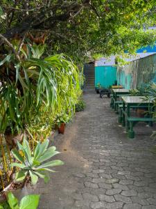 維多利亞的住宿－Onça da Praia Hostel，花园中的一排桌子和长椅