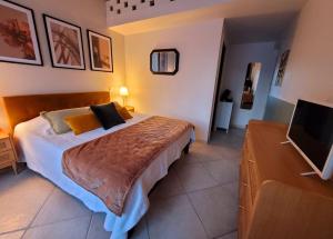 a bedroom with a bed and a flat screen tv at la Cigalette in Peypin