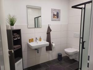 a bathroom with a sink and a toilet at Ferienapartment Zur Bunten Kuh Walporzheim in Bad Neuenahr-Ahrweiler +11 photos