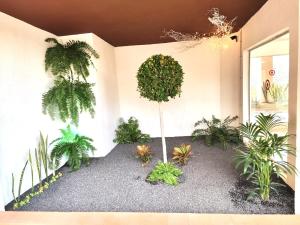 A garden outside Luxury Bahia Sea Views By Deihu Experiences