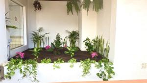 A garden outside Luxury Bahia Sea Views By Deihu Experiences