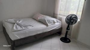 a small bed with a fan next to a window at Descansa en familia en Rio Bonito lleva tus mascotas in Melgar +22 photos