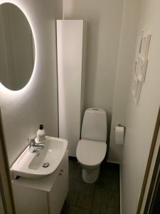 bagno con servizi igienici, lavandino e specchio di Bedrooms for rent in a Villa Eurovisionsguests a Staffanstorp