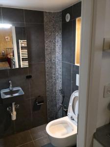 uma casa de banho com um WC e um lavatório em Studio with free parking Nice terrace Free WiFi connection em Genebra