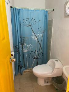a bathroom with a toilet and a blue shower curtain at Casa Pueblo Ocú in El Hatillo