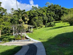 Zahrada ubytování Finca Mango - 40 acre paradise