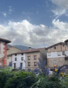 un groupe de bâtiments avec des fleurs au premier plan dans l'établissement Apartamentos Sierra, à Ezcaray